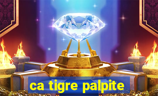 ca tigre palpite